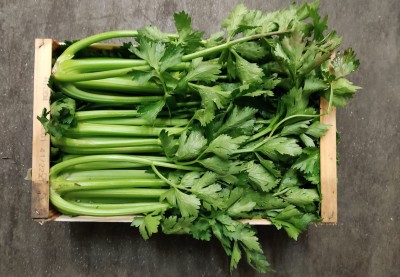 Foto Sedano Origine Italia Marchio San Valentino 2